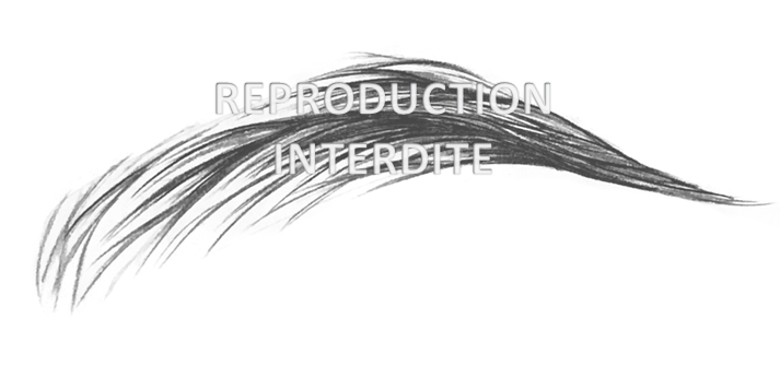 Guide Maquillage Permanent