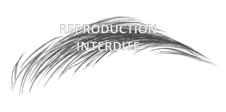 Guide Maquillage Permanent