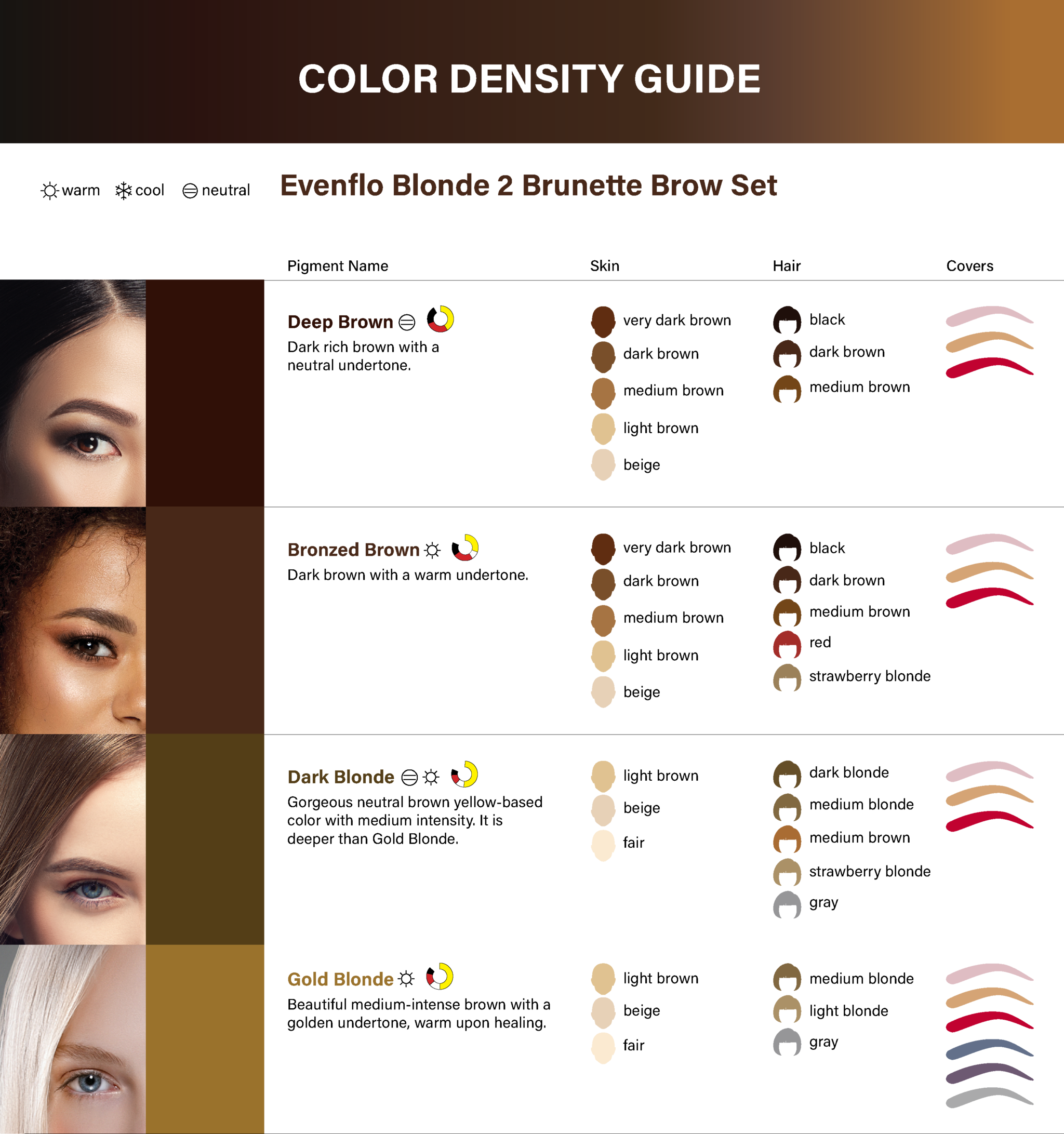 Evenflo Sourcil - Blonde 2 Brunette