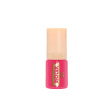 Ensemble pigments Lèvres - Biotek