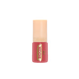 Ensemble pigments Lèvres - Biotek