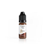 Etalon Mix - Pigments Sourcils Minéral