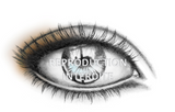 Guide Maquillage Permanent