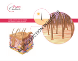 Guide Utile Maquillage Permanent