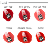 I 💋 INK Lip Collections ENVY & LUST